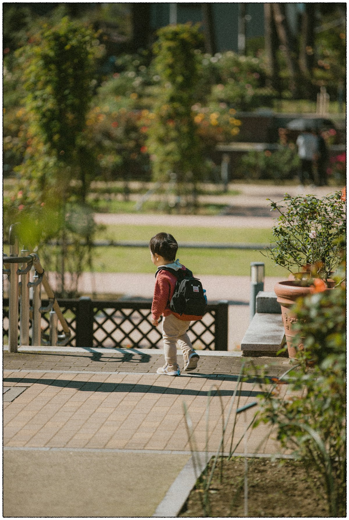 School Children Pick-up